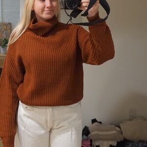 Wilfred Cinnamon Knit Sweater